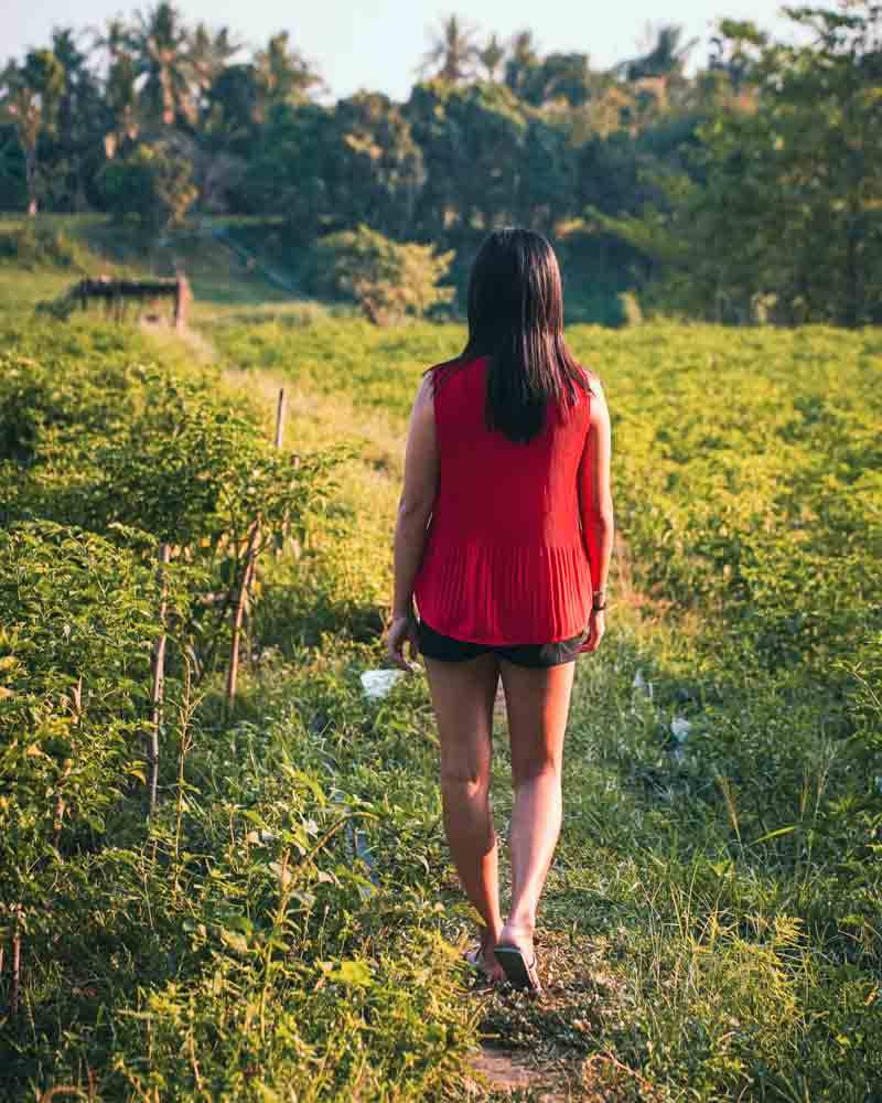Discover Authentic Cambodia Multi-Day Trip Photos Battambang Explore