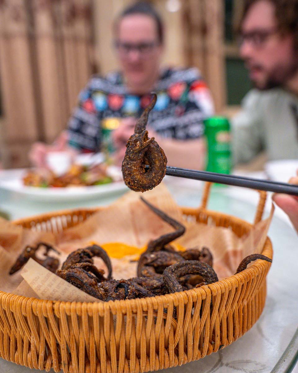 Guangzhou Evening Food Tours Eel