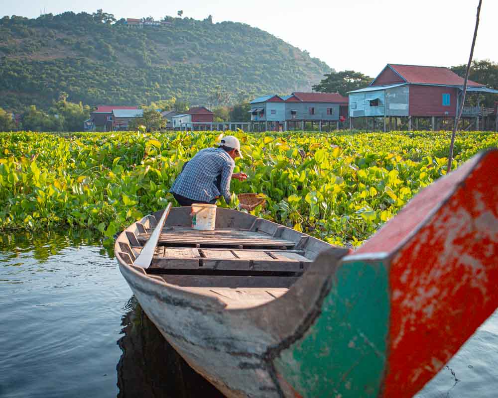 Old Siem Reap Evening Food Tour Tonle Sap Lake Fisherman