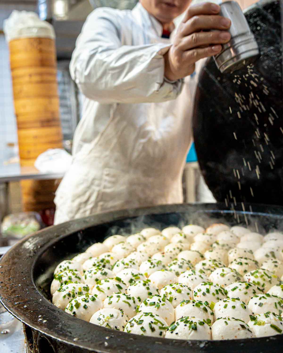Shanghai Evening Walking Food Tour Potstickers