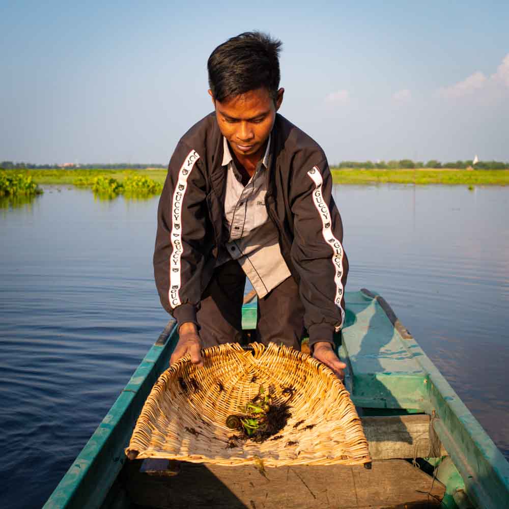 Siem-Reap-Travel-Guide-Tonle-Sap-Fish