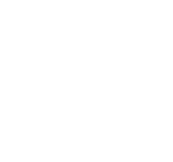 Lost Plate Food Tours is 1 in the World by TripAdvisor